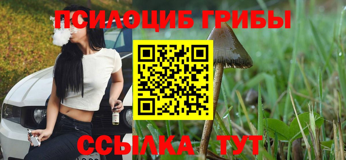 Галлюциногенные грибы MAGIC MUSHROOMS  Галлюциногенные грибы мицелий  Калининград  Вход с VPN 