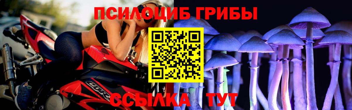 Псилоцибиновые грибы Cubensis Калининград