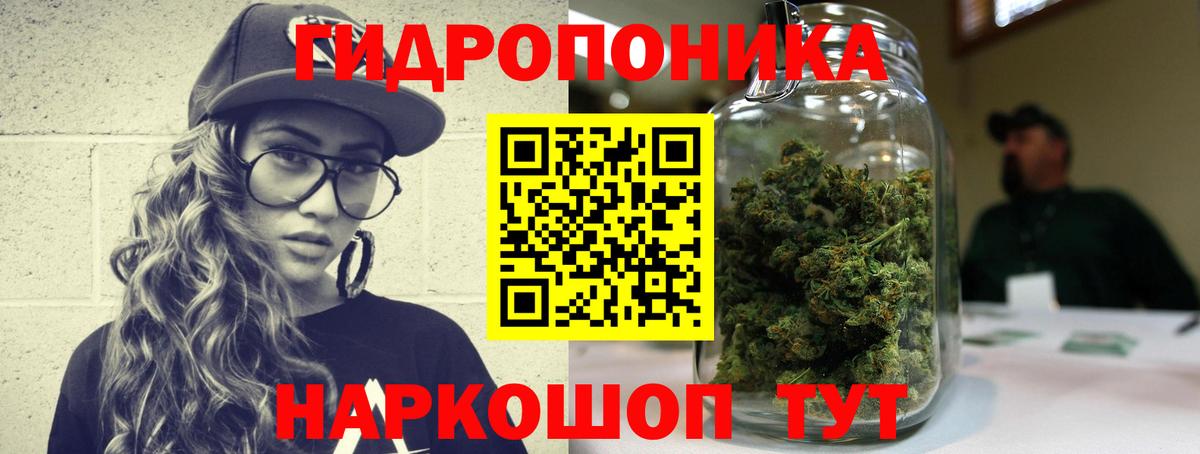 Калининград  Каннабис планчик  Бошки Шишки ГИДРОПОН  Бошки марихуана Amnesia  Вход с VPN 